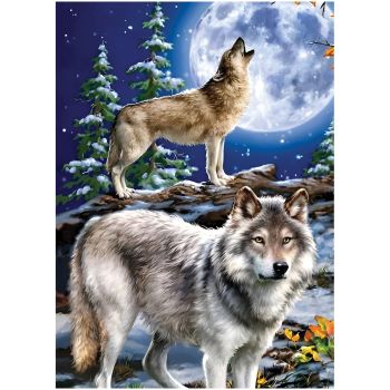 Пазл  1000 эл. ТРИ СОВЫ 