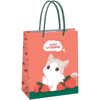 Пакет подарочный 18*23*10см MESHU 